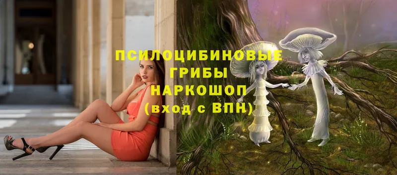 Псилоцибиновые грибы GOLDEN TEACHER  как найти наркотики  Волоколамск 